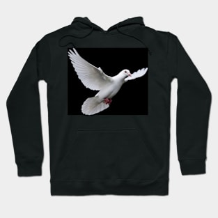 Dove Hoodie